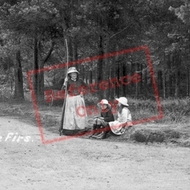 The Firs 1908, Colehill