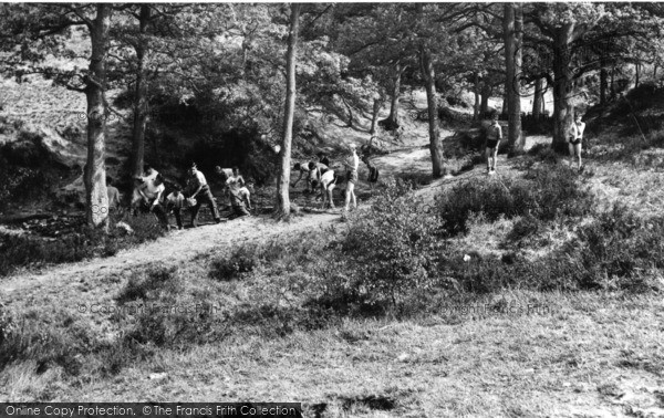 Photo of Colemans Hatch, Bridging And Damming, Wren's Warren Camp c.1955