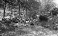 Bridging And Damming, Wren's Warren Camp c.1955, Colemans Hatch