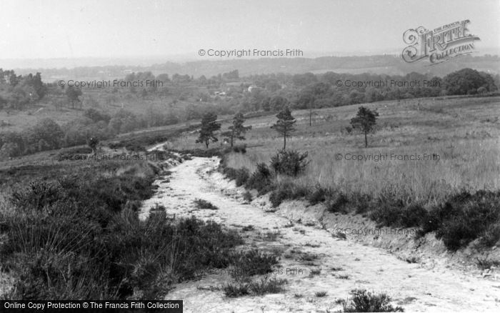 Photo of Colemans Hatch, View Near Wren's Warren Camp c.1955