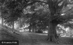 Woods c.1935, Colemere