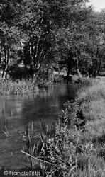 River Churn c.1960, Colesbourne