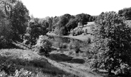 The Lake c.1960, Colesbourne