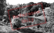 The Lake c.1960, Colesbourne