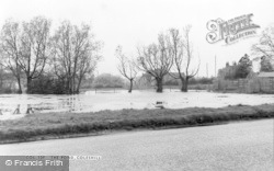 The Pond c.1965, Coleshill