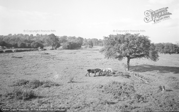 Photo of Collingham, Country View 1969