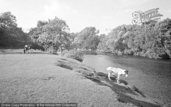 Photo of Collingham, The River 1969