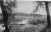 A Norfolk Dyke 1902, Coltishall