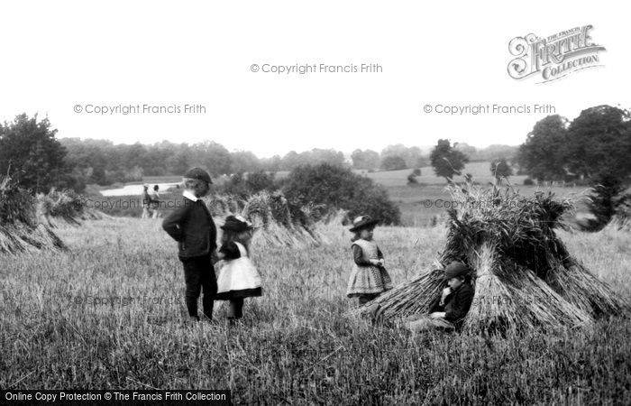 Photo of Coltishall, Harvest Games 1902