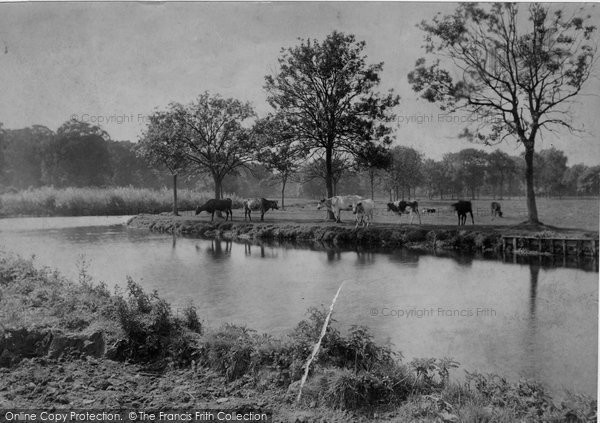Photo of Coltishall, On The Banks Of The Bure 1902