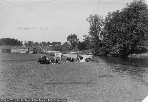 Photo of Coltishall, View Near 1902