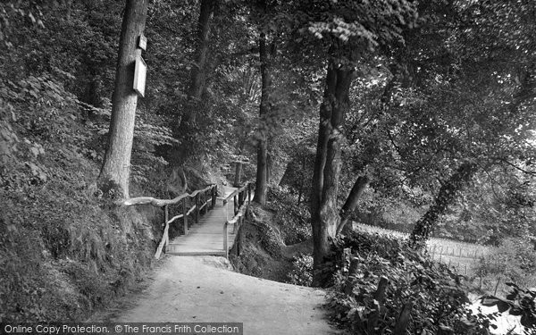 Photo of Colwyn Bay, Bridge In Pwll Y Crochan Woods 1921