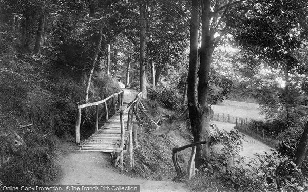 Photo of Colwyn Bay, Footbridge In The Woods 1894