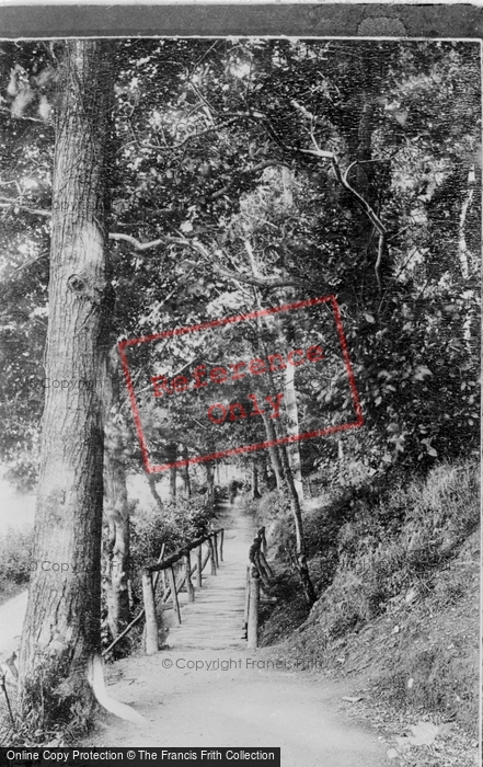Photo of Colwyn Bay, In The Woods 1892