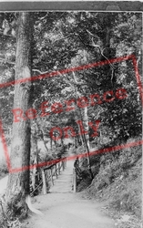 In The Woods 1892, Colwyn Bay