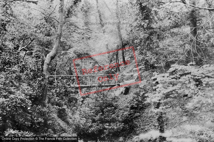 Photo of Colwyn Bay, In The Woods 1894