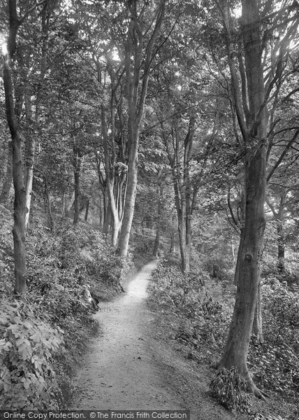 Photo of Colwyn Bay, Pwll Y Crochan Woods 1921