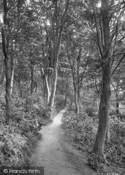 Colwyn Bay, Pwll-y-Crochan Woods 1921