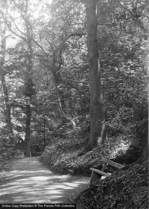 Photo of Colwyn Bay, Pwll Y Crochan Woods c.1905