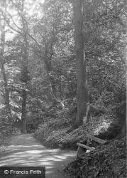 Pwll-Y-Crochan Woods c.1905, Colwyn Bay