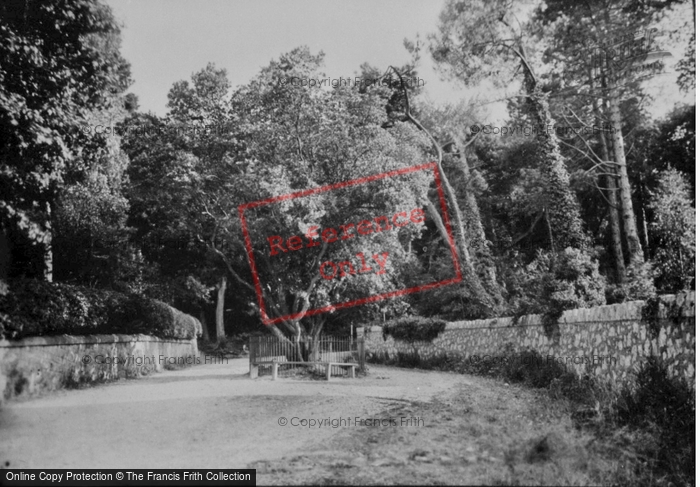 Photo of Colwyn Bay, Pwllycrochan Avenue 1921