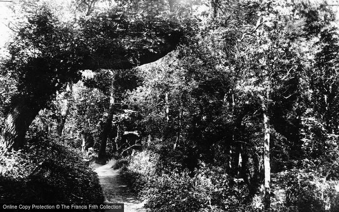 Photo of Colwyn Bay, Pwllycrochan Woods c.1939