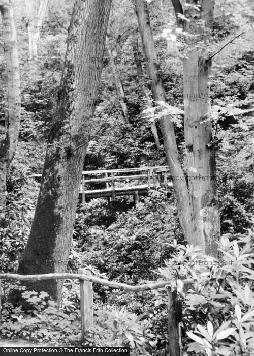Photo of Colwyn Bay, Pwllycrochan Woods c.1950