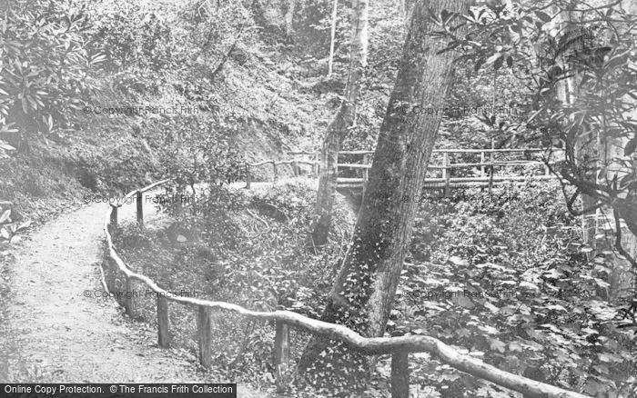 Photo of Colwyn Bay, Pwllycrochan Woods c.1950