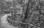 Pwllycrochan Woods c.1950, Colwyn Bay