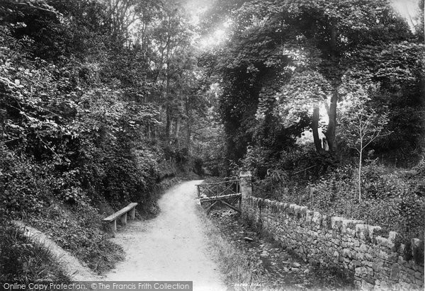 Photo of Colwyn Bay, The Dingle 1894