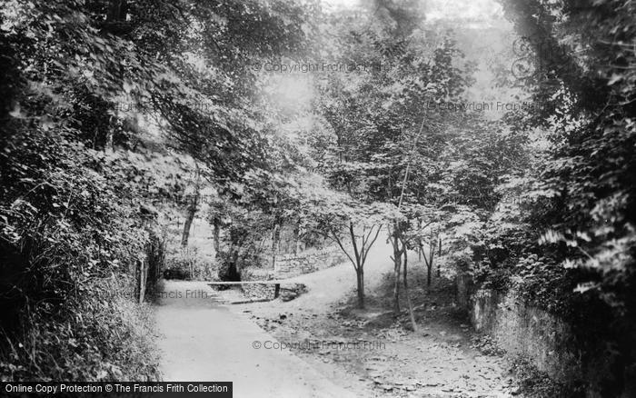 Photo of Colwyn Bay, The Dingle 1894