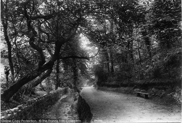 Photo of Colwyn Bay, The Dingle 1906
