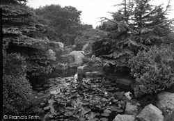 The Lily Pond, Eirias Park 1950, Colwyn Bay