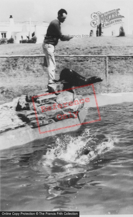 Photo of Colwyn Bay, The Welsh Mountain Zoo, Seals c.1963
