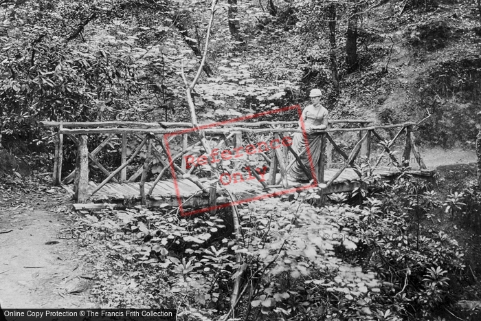 Photo of Colwyn Bay, Woods, The Bridge 1890
