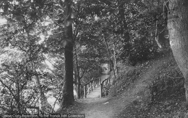 Photo of Colwyn Bay, Woods, The Bridge 1890