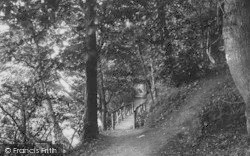 Woods, The Bridge 1890, Colwyn Bay