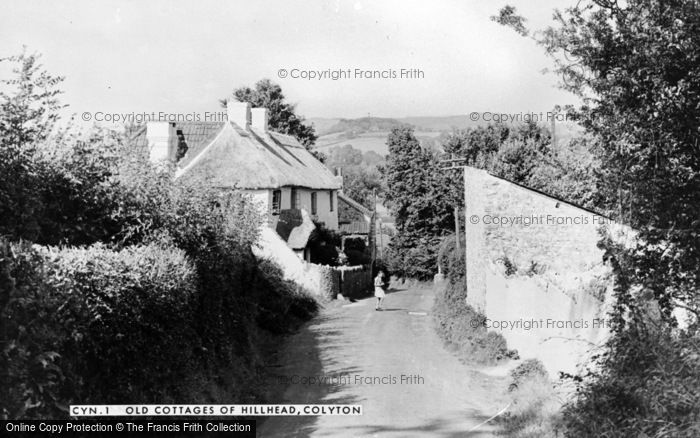 Photo of Colyton, The Old Cottages Of Hillhead c.1950