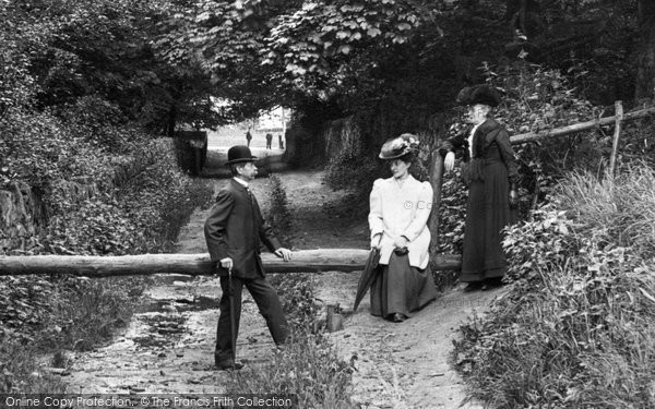 Photo of Combe Down, People in Rainbow Woods 1907