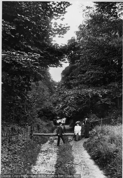 Photo of Combe Down, Rainbow Woods 1907