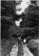 Rainbow Woods 1907, Combe Down