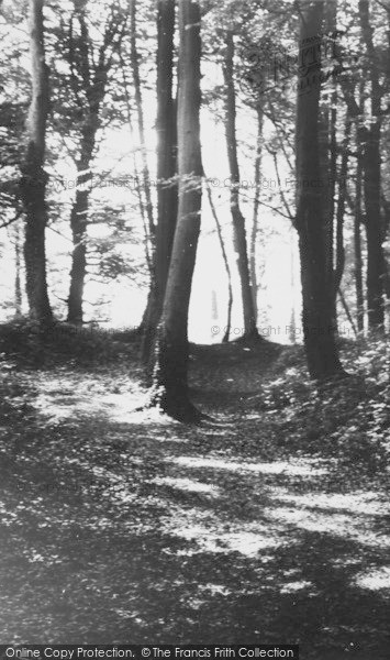 Photo of Combe Down, Rainbow Woods c.1965