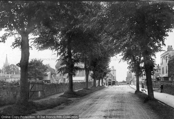 Photo of Combe Down, The Avenue 1907