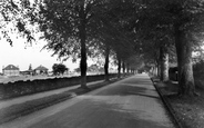 The Avenue c.1955, Combe Down