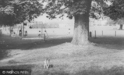 The Firs Field c.1965, Combe Down