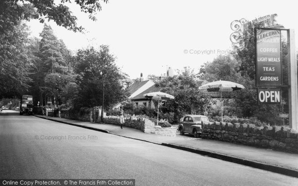 Photo of Combe Down, The Rockery Tea Gardens c.1960