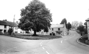 The Village c.1960, Combe St Nicholas