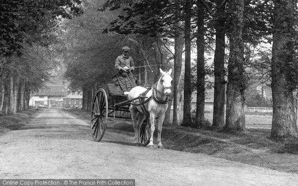 Photo of Compton, Horse And Cart, The Avenue 1907