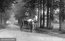 Horse And Cart, The Avenue 1907, Compton