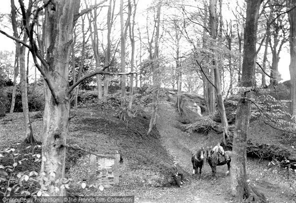 Photo of Compton, Ice House Woods 1907